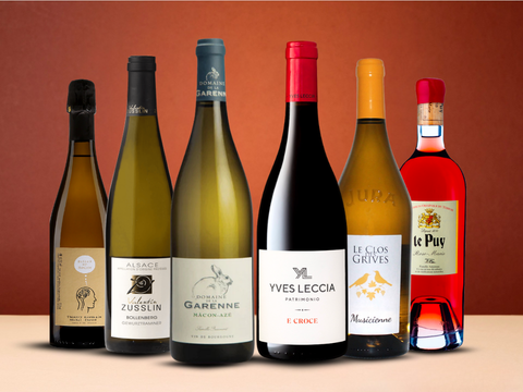 Vintage Sommelier's Box #10: The Discovery Box (Box of 6)