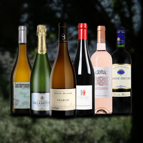 Vintage Sommelier's Box #5 : Survival Box