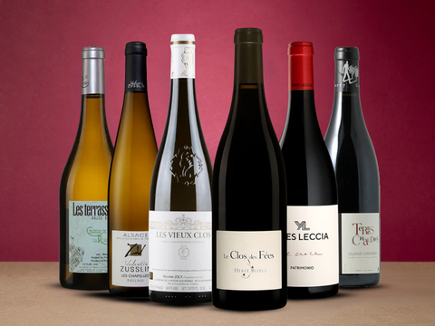 Six wine bottles with various labels on a red background
