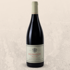 Domaine Vincent Bouzereau - Bourgogne Pinot Noir Red 2022