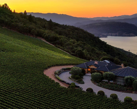 colgin-cellars-napa-valley-winery-photos101_RDbd.png