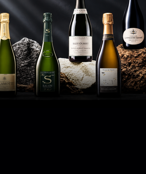 Champagne Days