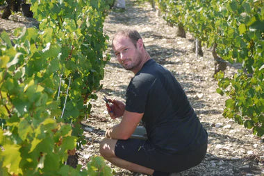 DOMAINE ELLEVIN