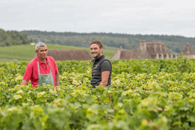 DOMAINE YVON CLERGET