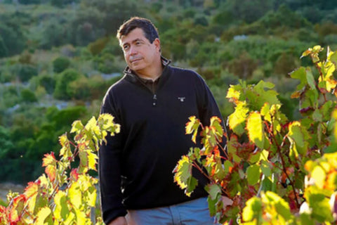 CLOS DES FEES