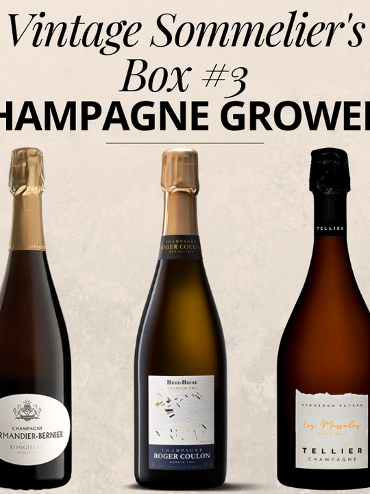 Vintage Sommelier's Box #3 : Grower Champagne Revelations