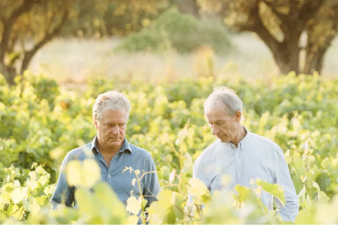 DOMAINE DE TERREBRUNE