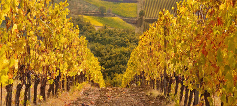 DOMAINE FRANCOIS D'ALLAINES
