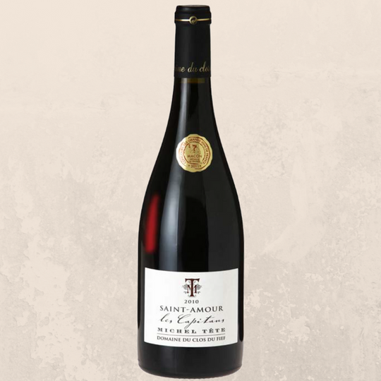 Domaine du clos du Fief - Saint-Amour Red 'Les Capitans' 2021